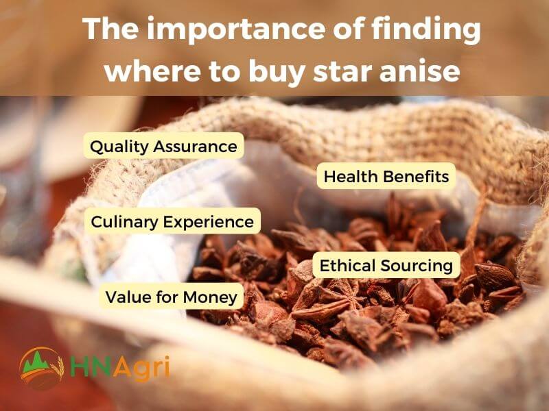 where-to-buy-star-anise-with-ease-top-locations-to-acquire-2