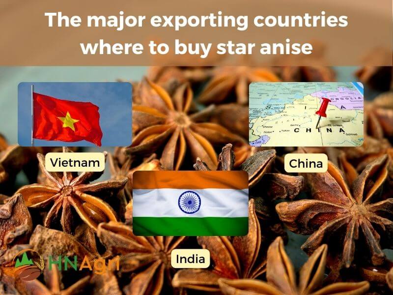 where-to-buy-star-anise-with-ease-top-locations-to-acquire-3