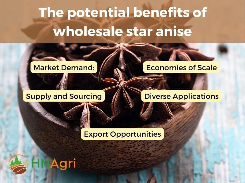 wholesale-star-anise-your-secret-ingredient-for-success-3