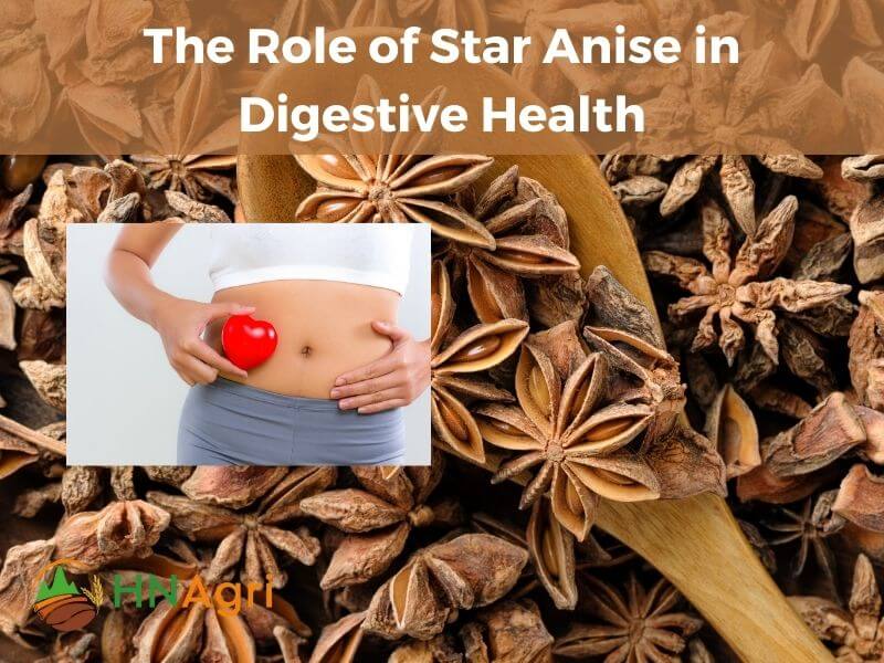 top-5-amazing-benefits-of-star-anise-and-useful-applications-3