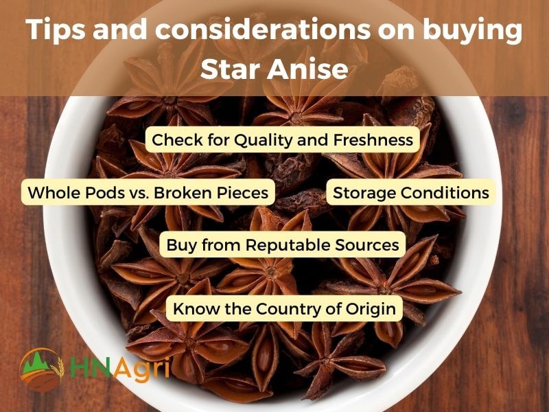where-to-buy-star-anise-with-ease-top-locations-to-acquire-4