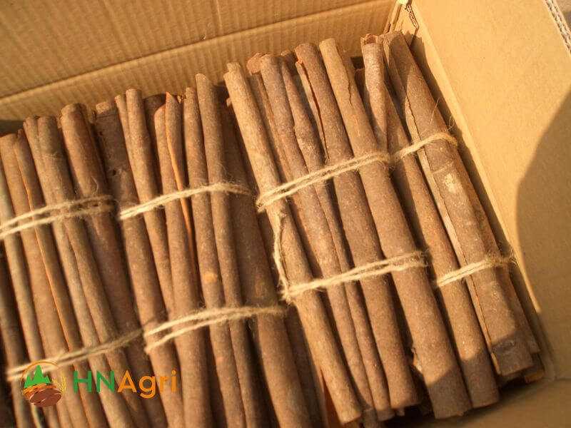 vietnamese-tube-cinnamon-5-tc25-4