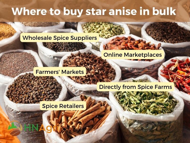 where-to-buy-star-anise-with-ease-top-locations-to-acquire-5