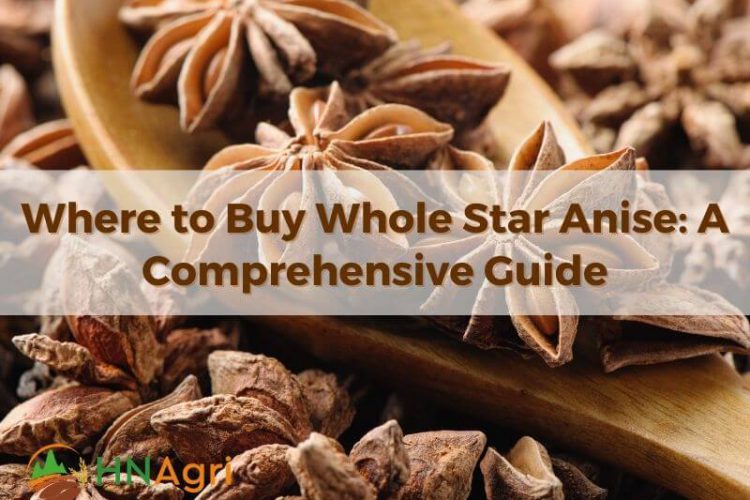 where-to-buy-whole-star-anise-a-comprehensive-guide-1