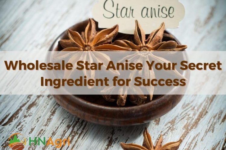 wholesale-star-anise-your-secret-ingredient-for-success-1