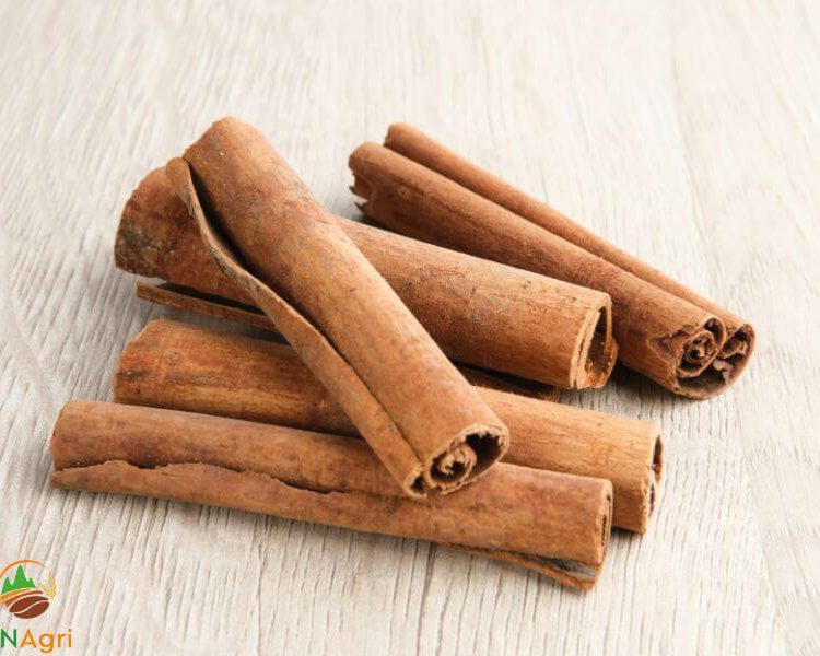 Saigon Cinnamon Sticks SCS 10%
