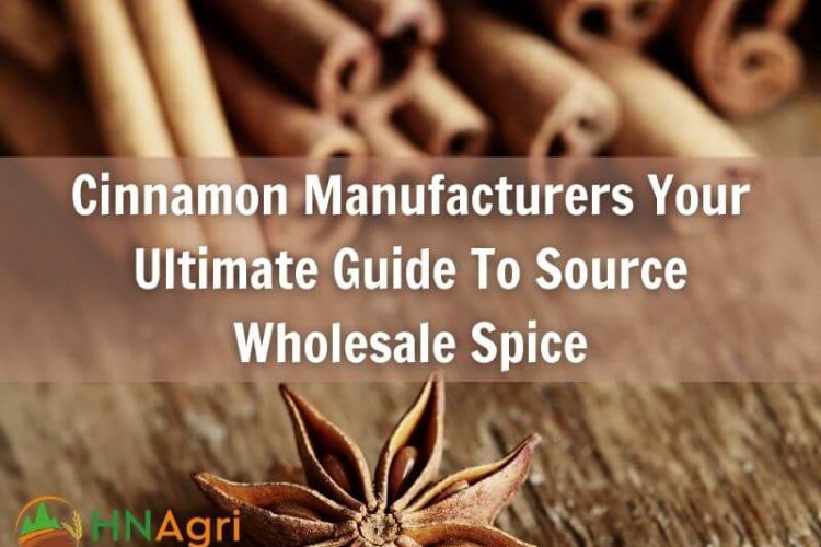 cinnamon-manufacturers-your-ultimate-guide-to-source-wholesale-spice-1