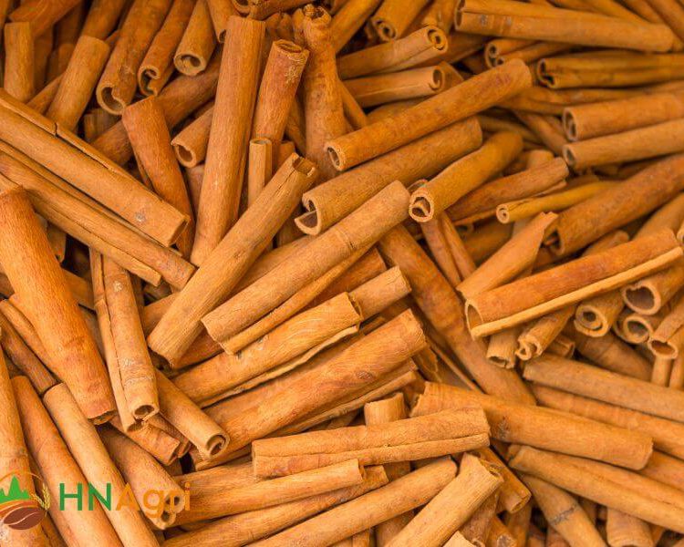 Saigon Cinnamon Sticks 80% SCS28 