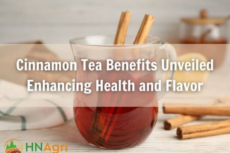 cinnamon-tea-benefits-unveiled-enhancing-health-and-flavor-1