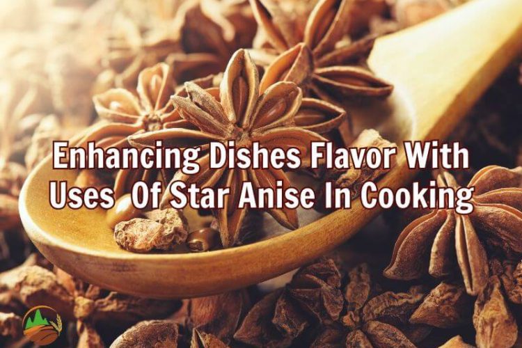discover-the-remarkable-star-anise-benefits-for-skin