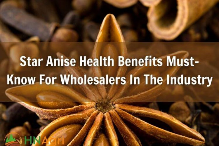 star-anise-health-benefits-must-know-for-wholesalers-in-the-industry-1