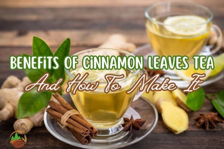 the-benefits-of-cinnamon-leaves-tea-and-how-to-make-it