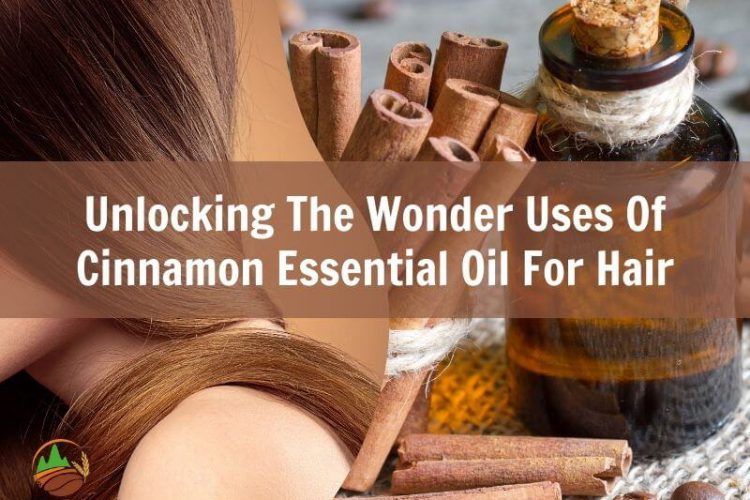 unlocking-the-wonder-uses-of-cinnamon-essential-oil-for-hair