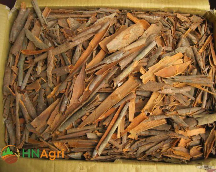 Vietnamese broken cinnamon 3% VBC58