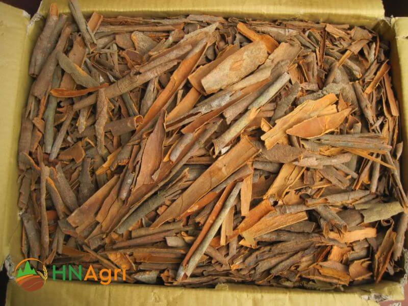 Vietnamese broken cinnamon 3% VBC58