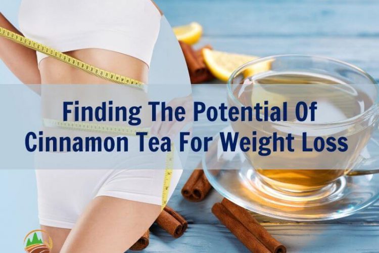 finding-the-potential-of-cinnamon-tea-for-weight-loss