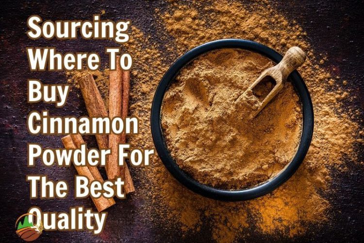 sourcing-where-to-buy-cinnamon-powder-for-the-best-quality