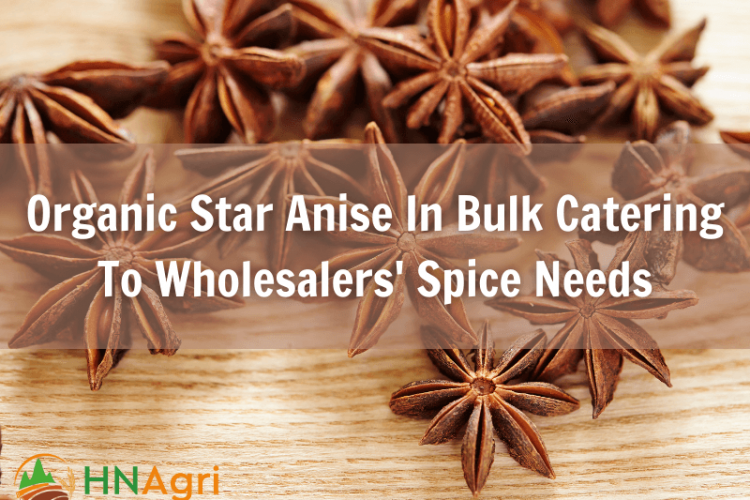 organic-star-anise-in-bulk-catering-to-wholesalers-spice-needs-1