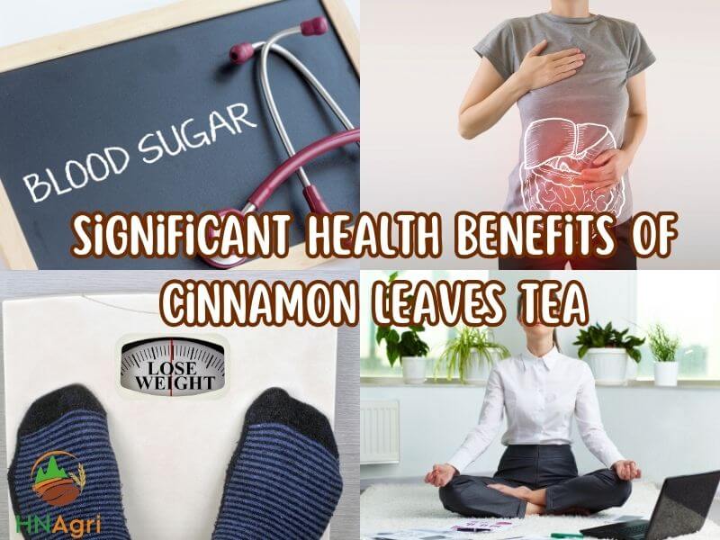 the-benefits-of-cinnamon-leaves-tea-and-how-to-make-it-1