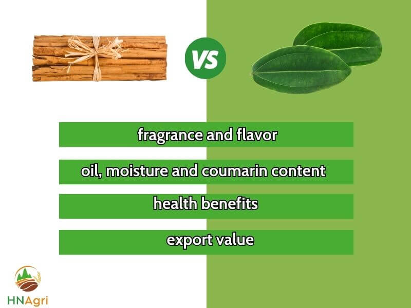 unveil-the-differences-between-cinnamon-leaf-vs-cinnamon-bark-1