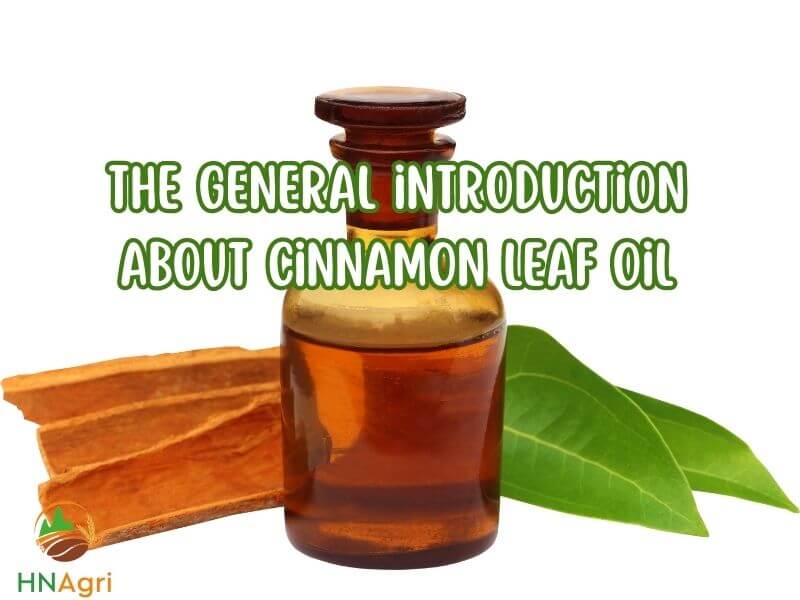 top-4-cinnamon-leaf-essential-oil-benefits-you-should-know-1