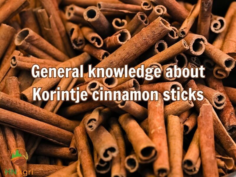 unlocking-the-flavorful-allure-of-korintje-cinnamon-sticks-1