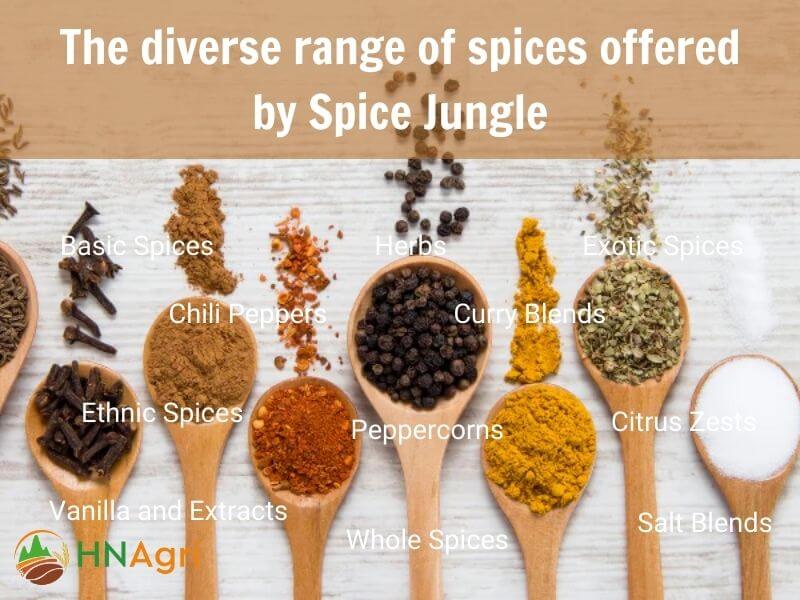 spice-jungle-where-quality-meets-adventure-in-wholesome-flavors-2