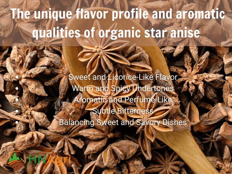 organic-star-anise-in-bulk-catering-to-wholesalers-spice-needs-2