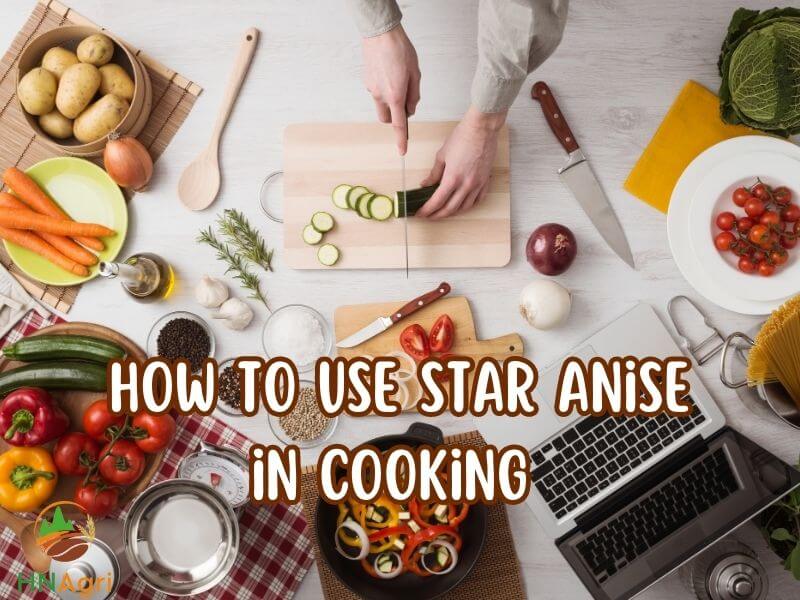 unlock-the-guide-how-to-use-star-anise-you-should-know-2