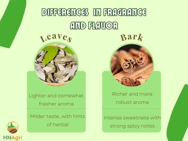 unveil-the-differences-between-cinnamon-leaf-vs-cinnamon-bark-2