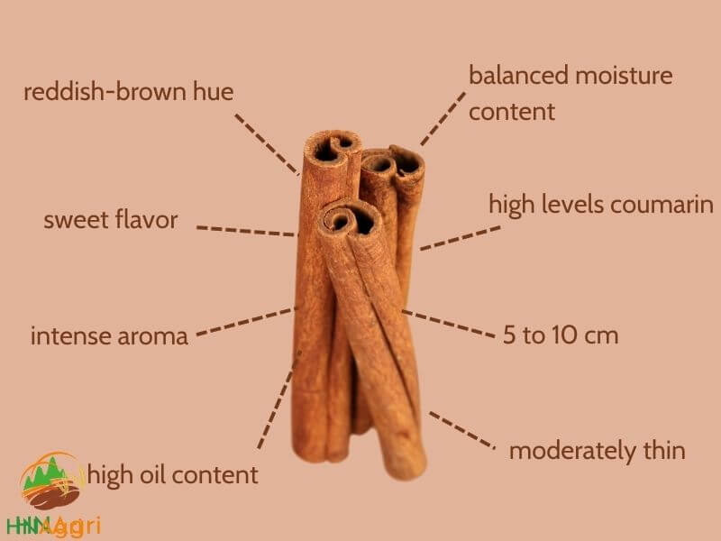 unlocking-the-flavorful-allure-of-korintje-cinnamon-sticks-2