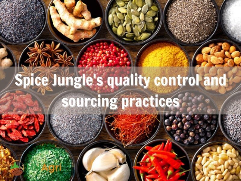 spice-jungle-where-quality-meets-adventure-in-wholesome-flavors-3