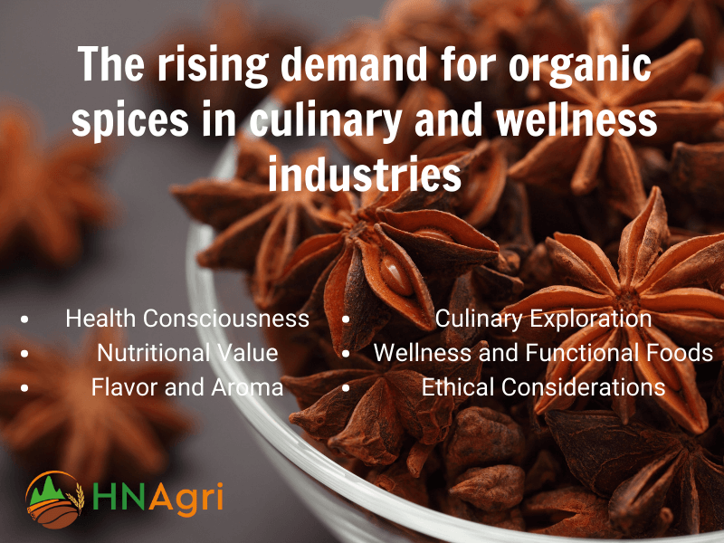 organic-star-anise-in-bulk-catering-to-wholesalers-spice-needs-3