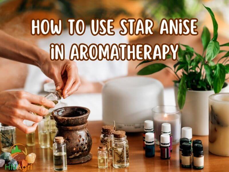 unlock-the-guide-how-to-use-star-anise-you-should-know-3