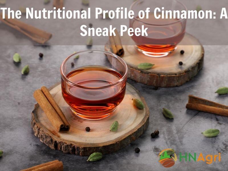 cinnamon-tea-benefits-unveiled-enhancing-health-and-flavor-4
