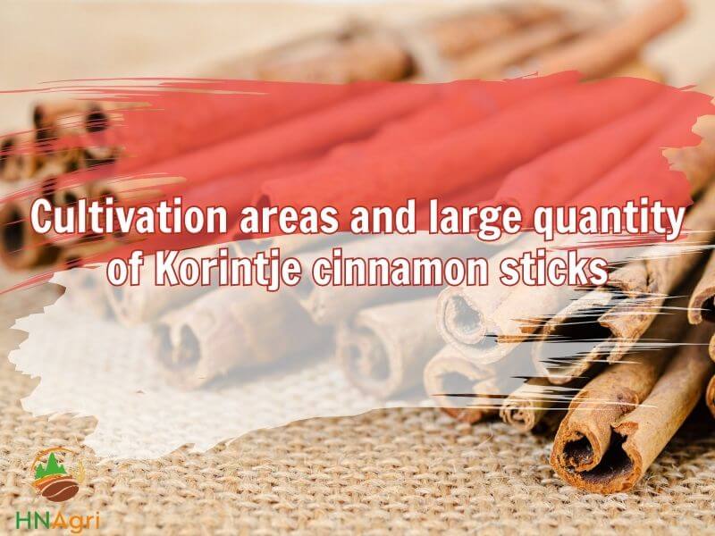 unlocking-the-flavorful-allure-of-korintje-cinnamon-sticks-3