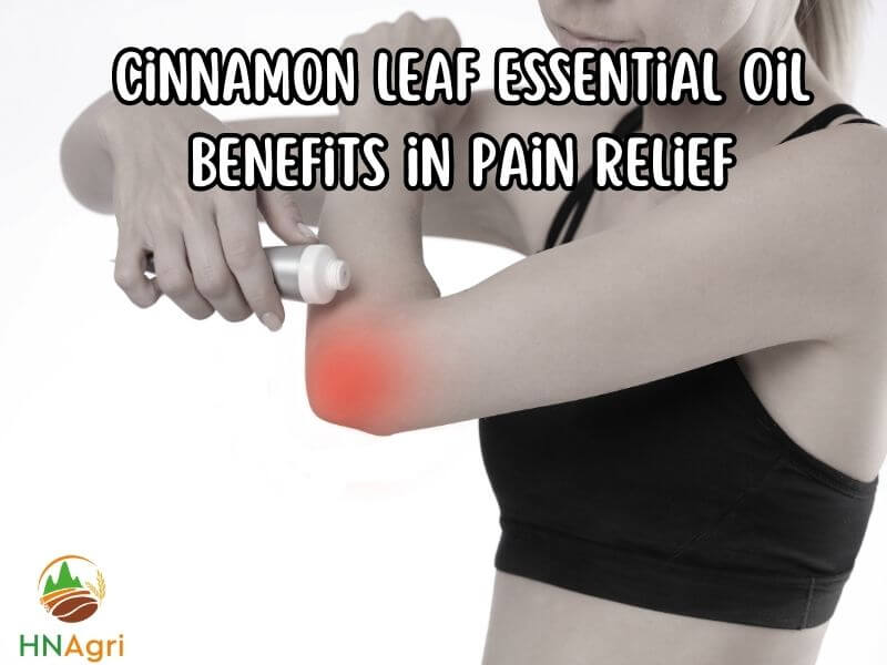 top-4-cinnamon-leaf-essential-oil-benefits-you-should-know-3