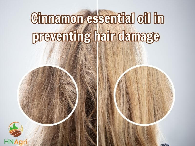 unlocking-the-wonder-uses-of-cinnamon-essential-oil-for-hair-4