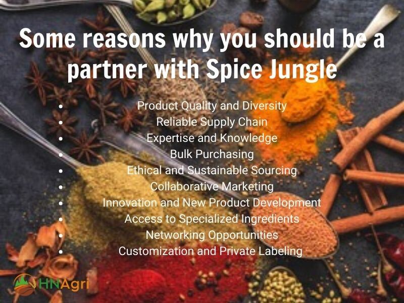 spice-jungle-where-quality-meets-adventure-in-wholesome-flavors-4