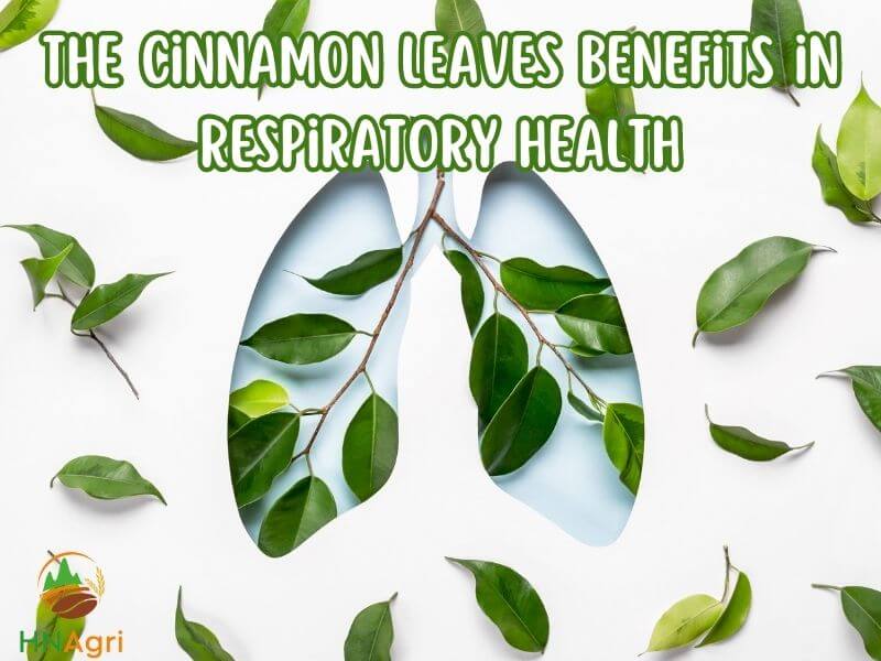 remarkable-benefits-of-cinnamon-leaves-a-natural-wonder-4