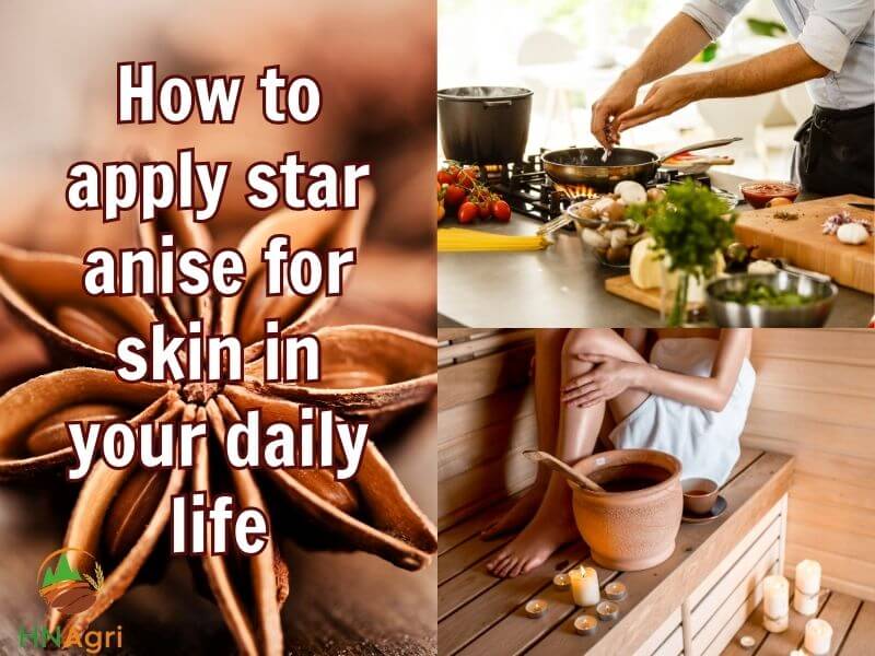 discover-the-remarkable-star-anise-benefits-for-skin-4