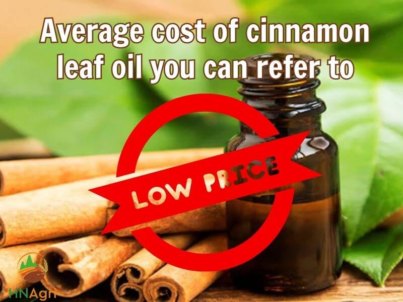 cinnamon-leaf-oil-a-comprehensive-guide-you-must-know-4