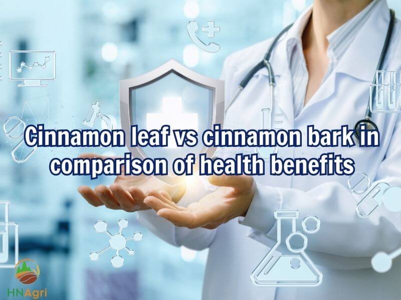 unveil-the-differences-between-cinnamon-leaf-vs-cinnamon-bark-4