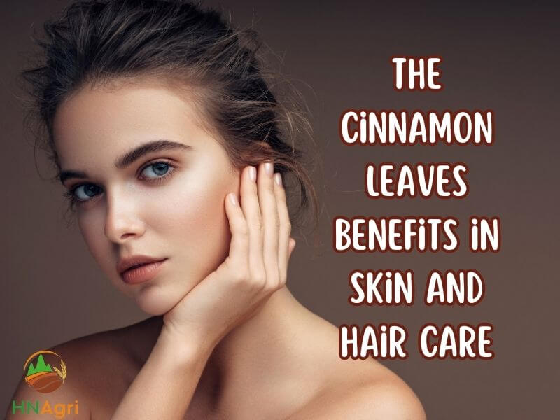 remarkable-benefits-of-cinnamon-leaves-a-natural-wonder-5