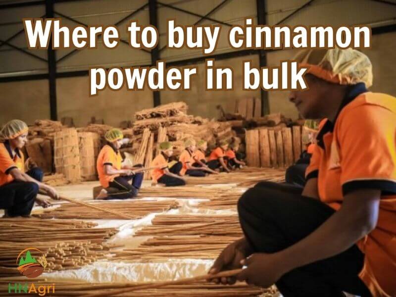 sourcing-where-to-buy-cinnamon-powder-for-the-best-quality-4