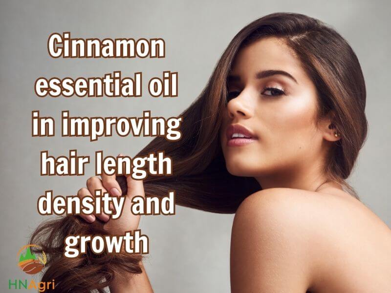 unlocking-the-wonder-uses-of-cinnamon-essential-oil-for-hair-3