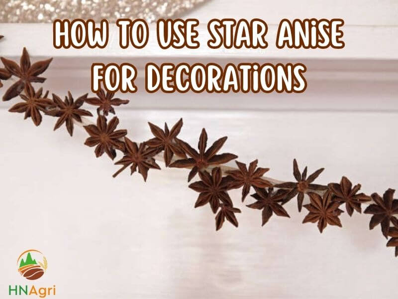unlock-the-guide-how-to-use-star-anise-you-should-know-5