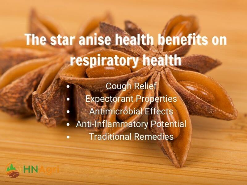 star-anise-health-benefits-must-know-for-wholesalers-in-the-industry-6