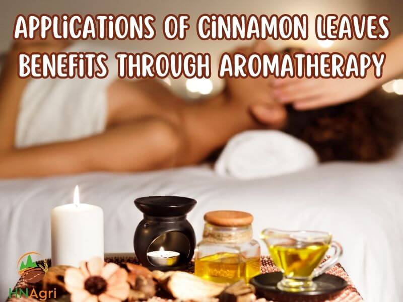 remarkable-benefits-of-cinnamon-leaves-a-natural-wonder-7