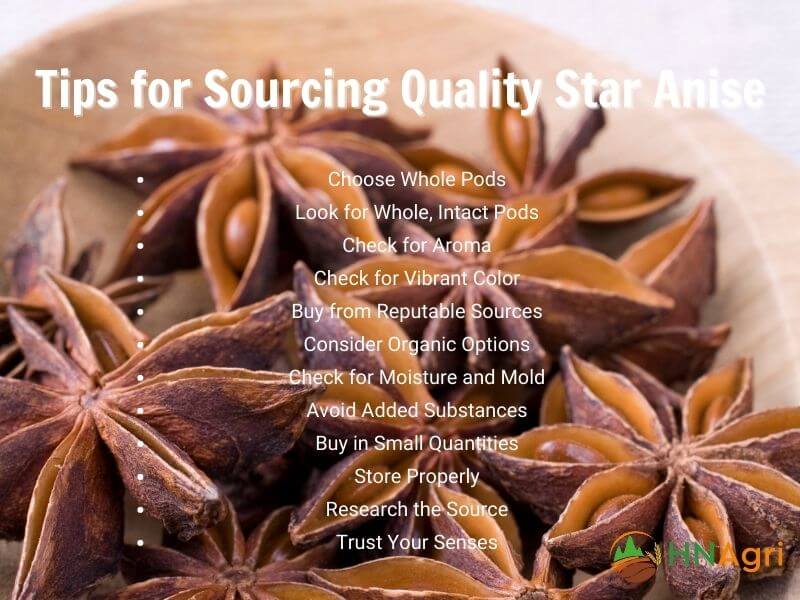 star-anise-health-benefits-must-know-for-wholesalers-in-the-industry-7